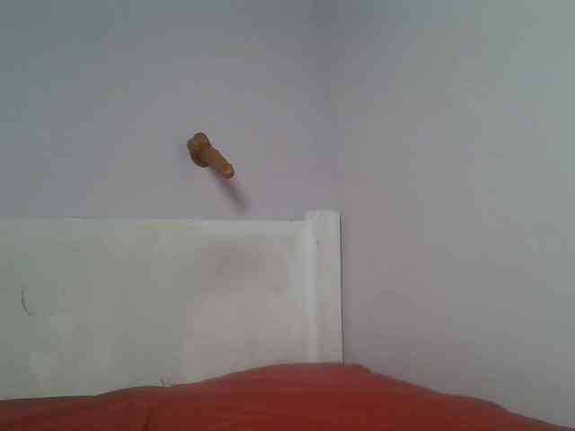 Sexyicey webcam