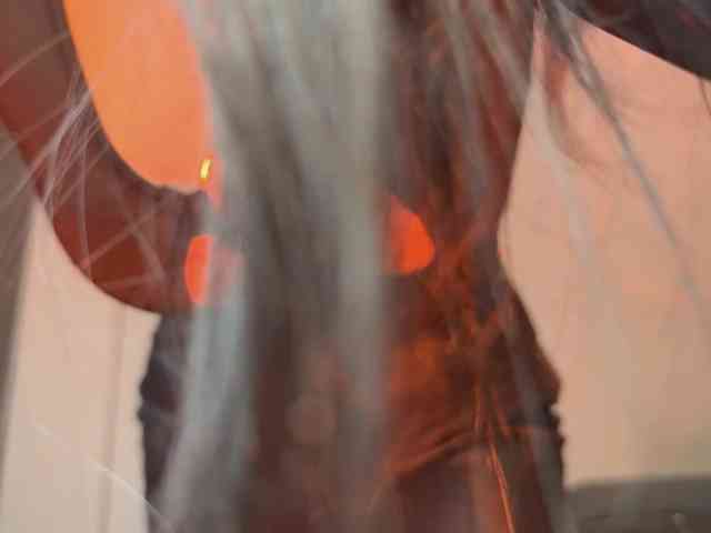 majesticmadam webcam