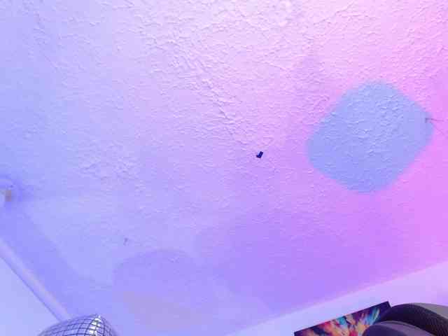 Stefany-wish webcam