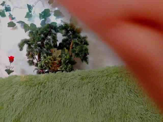 WOWalina webcam