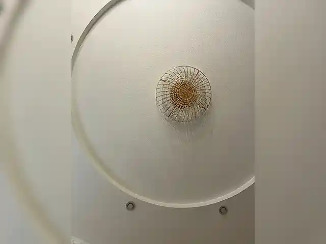 Vikusha