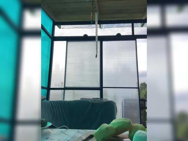 Cat-meowa live webcam show