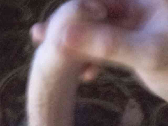 budto