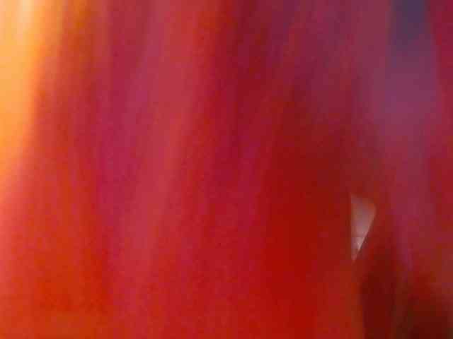 AlexaMills webcam