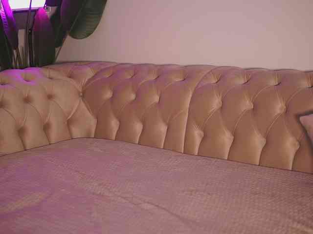 GiaInked Live Webcam on BongaCams