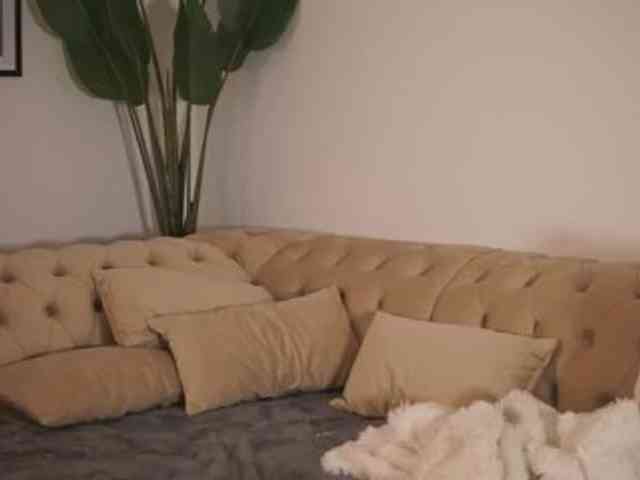 GiaInked webcam
