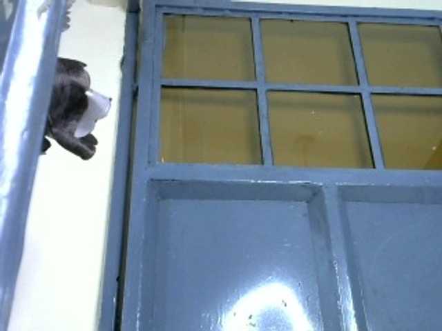 sumeyhia live cam on BongaCams