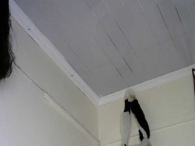 sumeyhia live cam on BongaCams