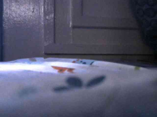 sumeyhia webcam