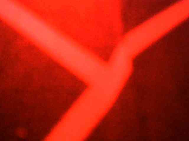 sumeyhia webcam