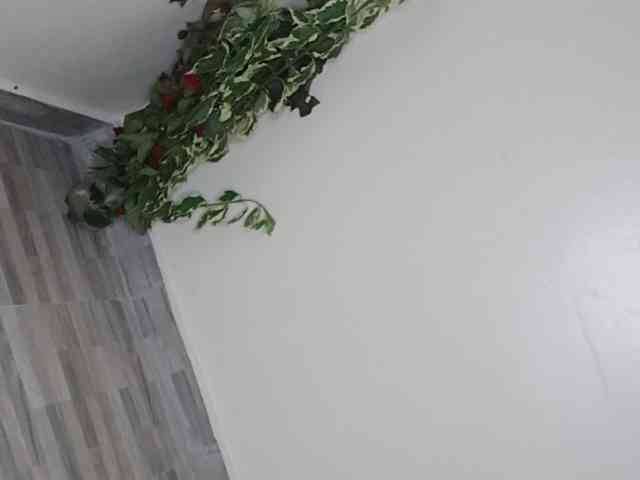 sumeyhia webcam