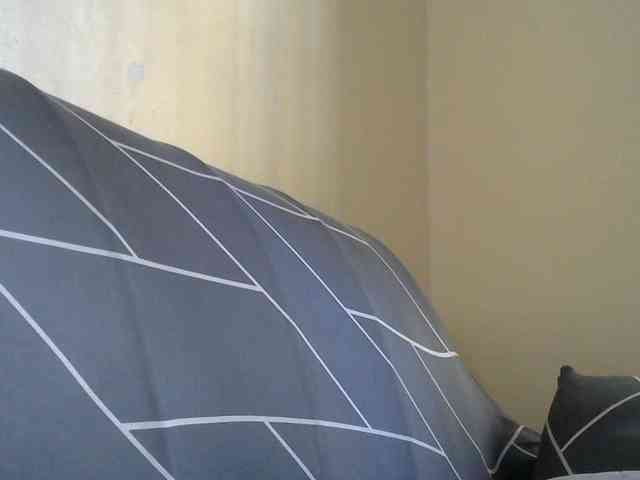 sumeyhia webcam