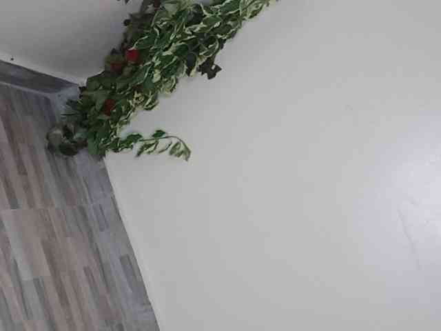 sumeyhia webcam
