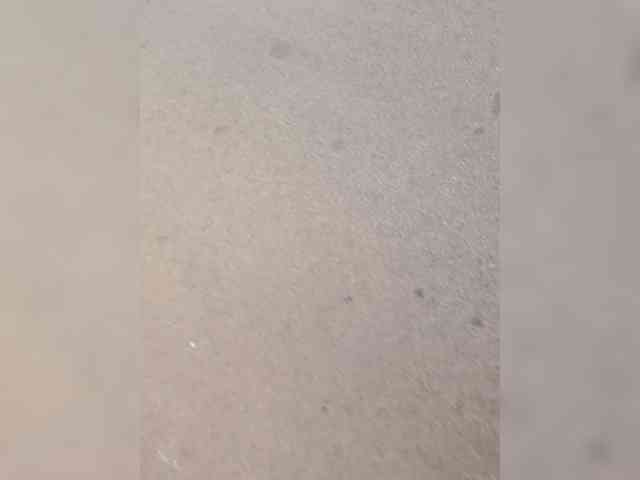 sumeyhia webcam