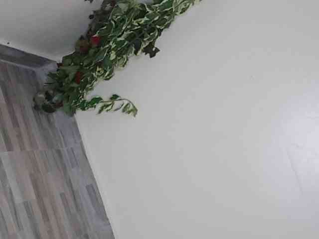 sumeyhia webcam