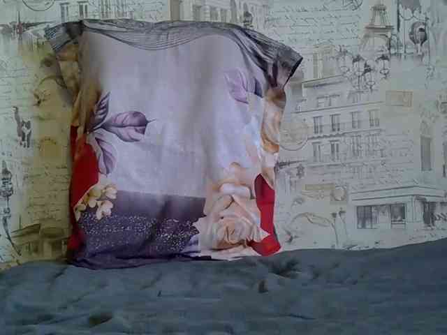 Liza-Cat webcam