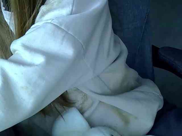 Liza-Cat webcam