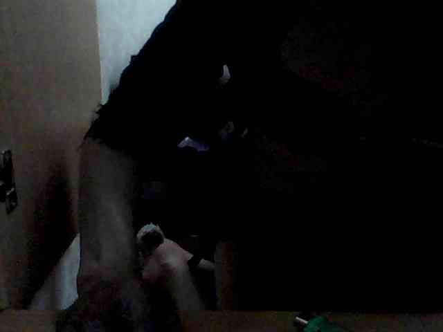 Sissyhot