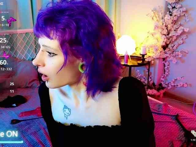 karkadeshka webcam