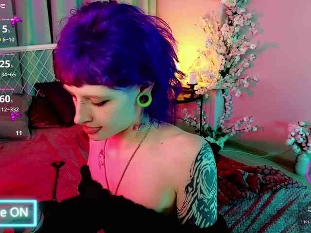 karkadeshka webcam