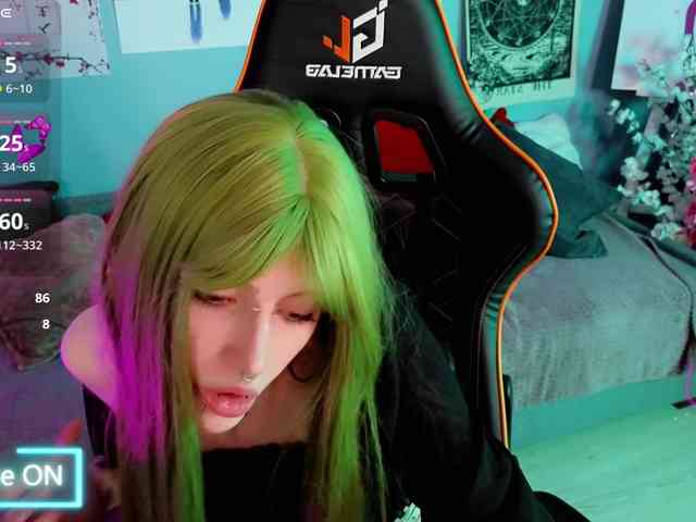 karkadeshka webcam