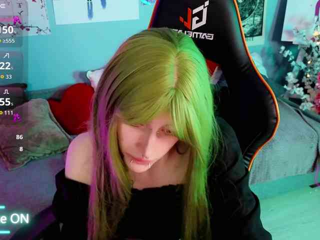karkadeshka webcam