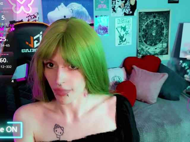 karkadeshka webcam