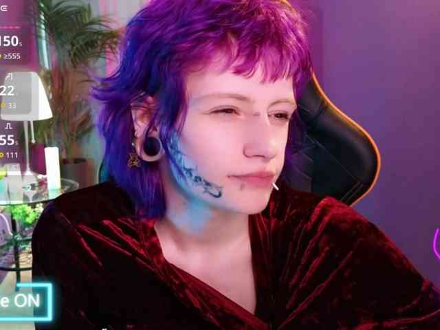 karkadeshka webcam