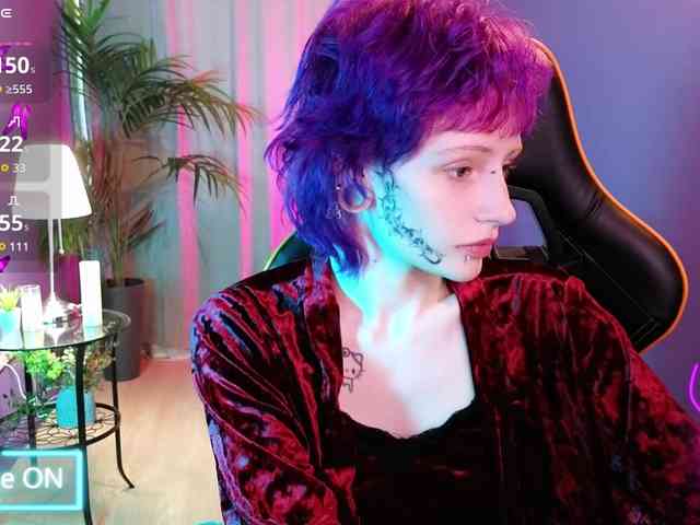 karkadeshka webcam