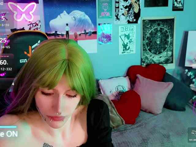 karkadeshka webcam