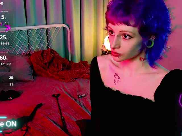 karkadeshka webcam