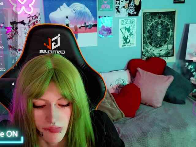 karkadeshka webcam
