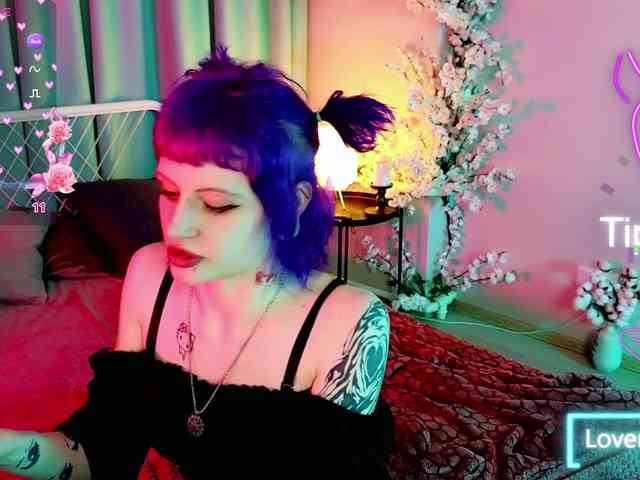 karkadeshka webcam