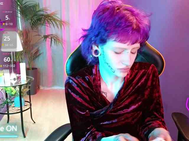 karkadeshka webcam