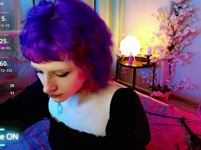 karkadeshka webcam