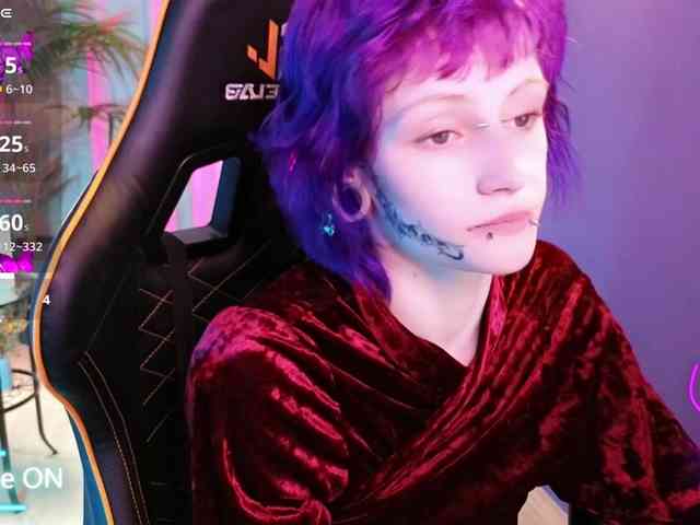 karkadeshka webcam
