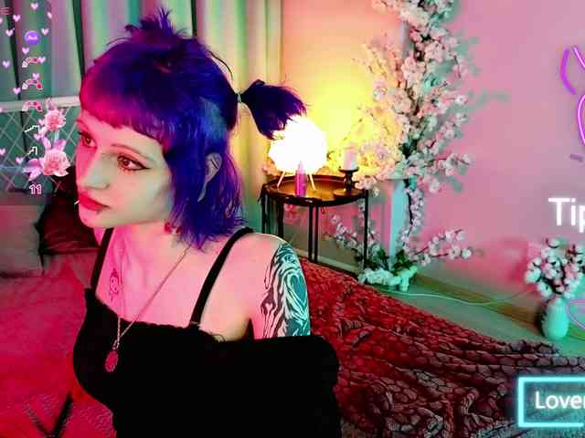 karkadeshka webcam