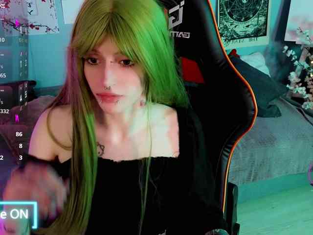 karkadeshka webcam