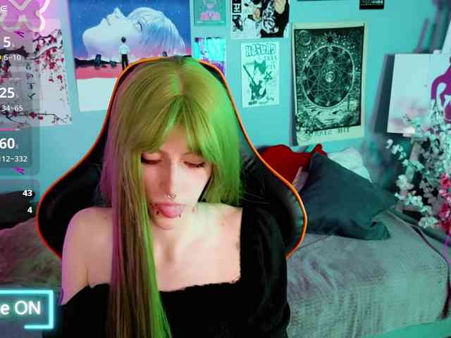 karkadeshka webcam