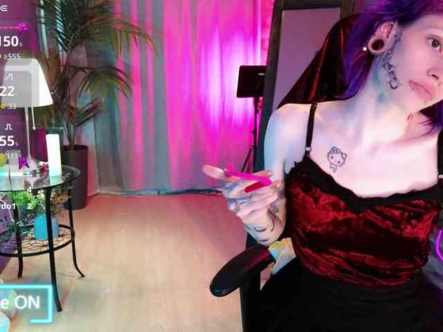 karkadeshka webcam