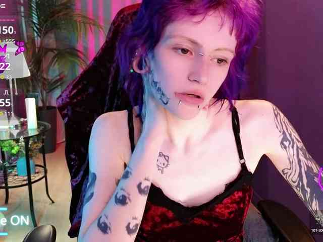 karkadeshka webcam
