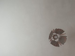 Erine9900 Porn Show
