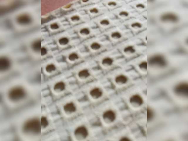 Erine9900