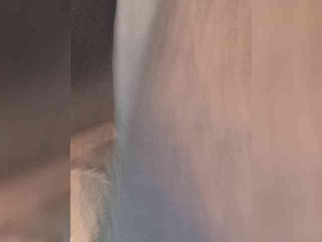 Erine9900 webcam