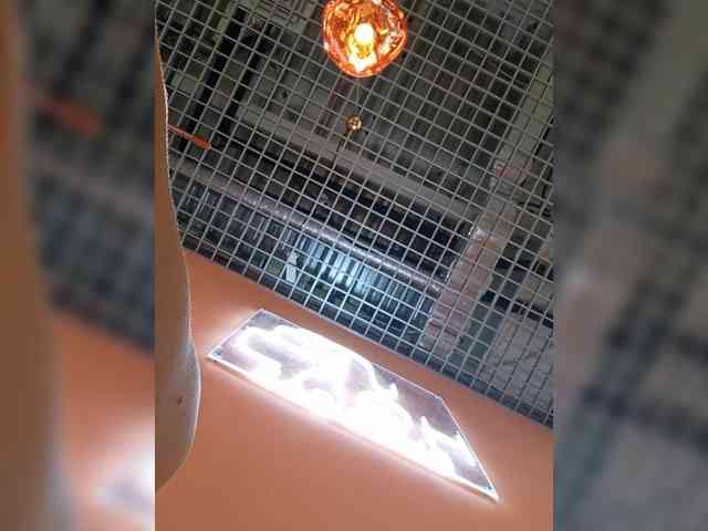 Erine9900 webcam