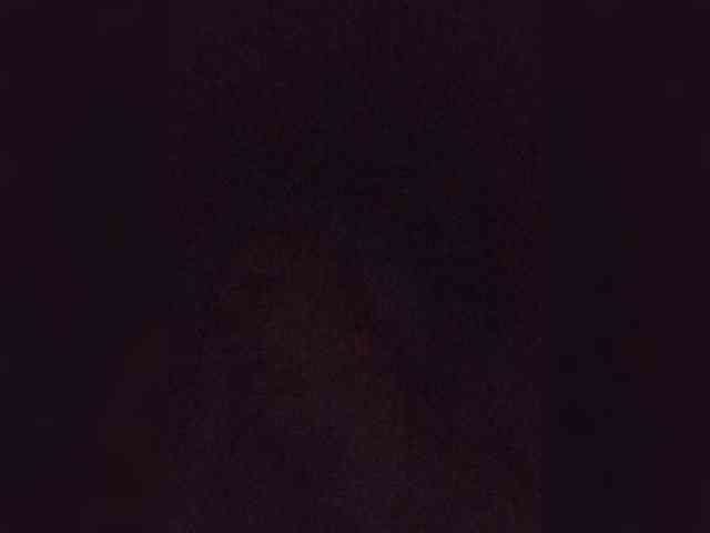 Erine9900 webcam