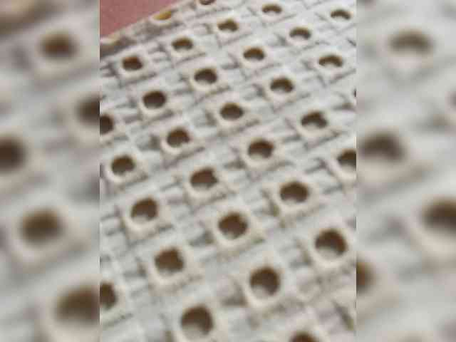 Erine9900