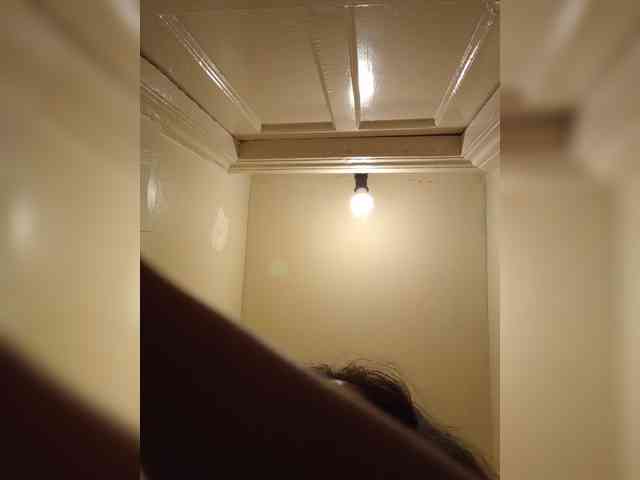 Erine9900 webcam