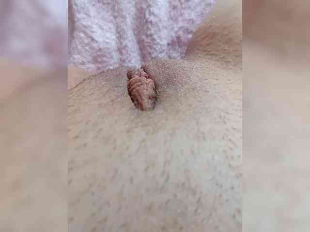 AnalSV91 AnalSV91