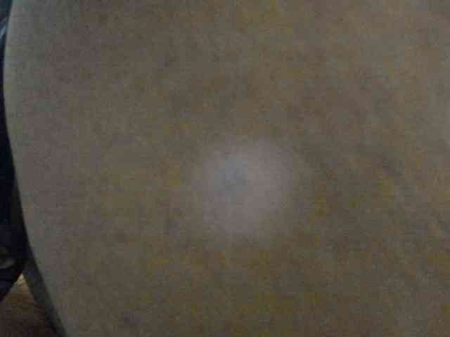 JulieJoe webcam
